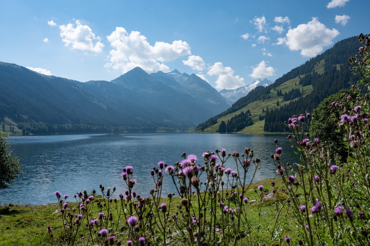 Alpine lake with turquoise water surrounded by wildflower meadows and snow-capped mountains — summer in China's high country